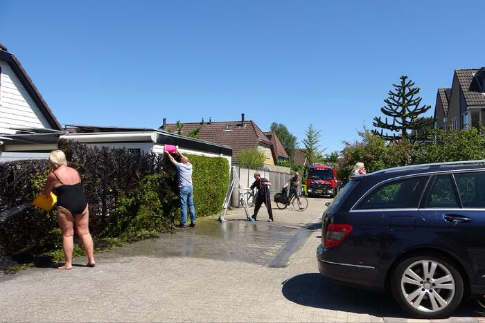 Coniferenhaag vat vlam