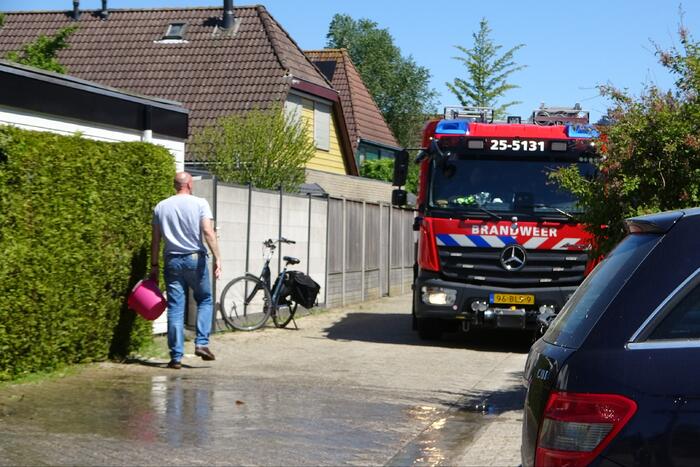 Coniferenhaag vat vlam