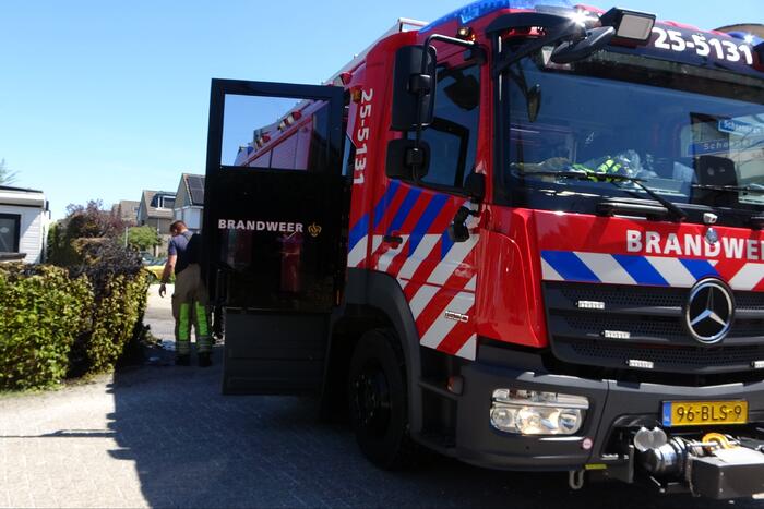 Coniferenhaag vat vlam