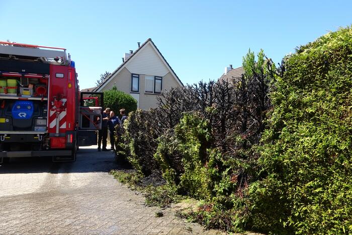 Coniferenhaag vat vlam