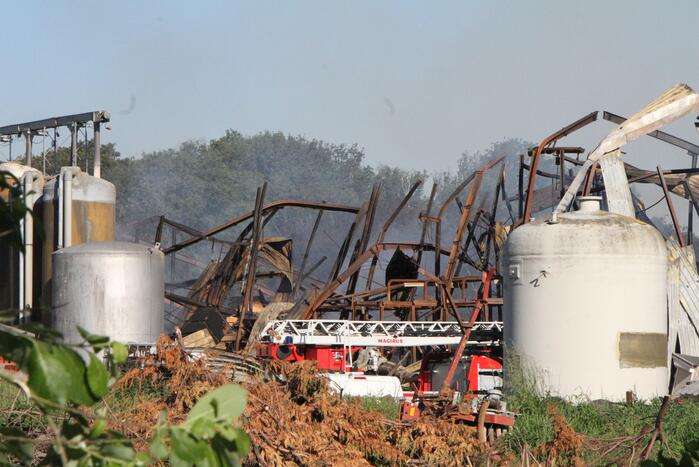 Duizenden varkens omgekomen bij grote brand in stal