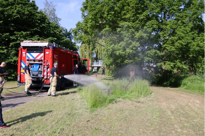 Klein stuk gras in brand