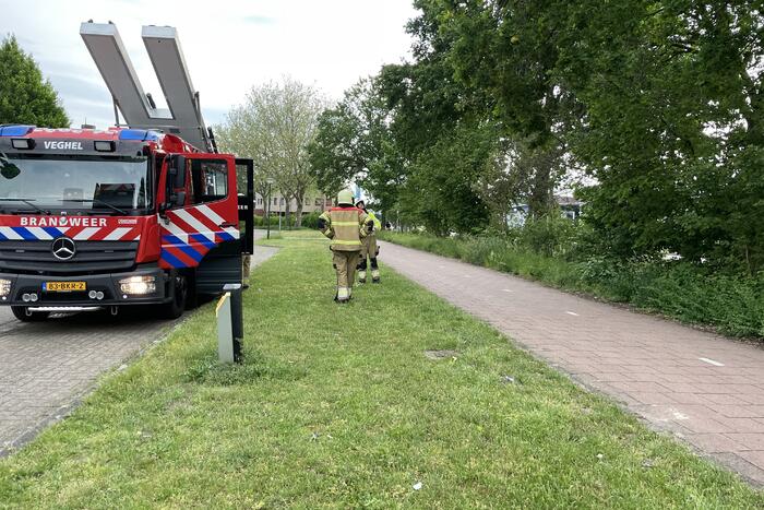 Brandweer zaagt loshangende tak los