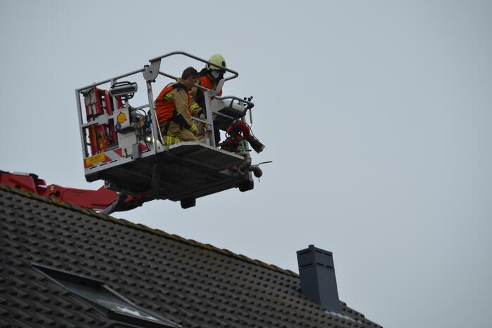 Vogel vast in ventilatiekanaal
