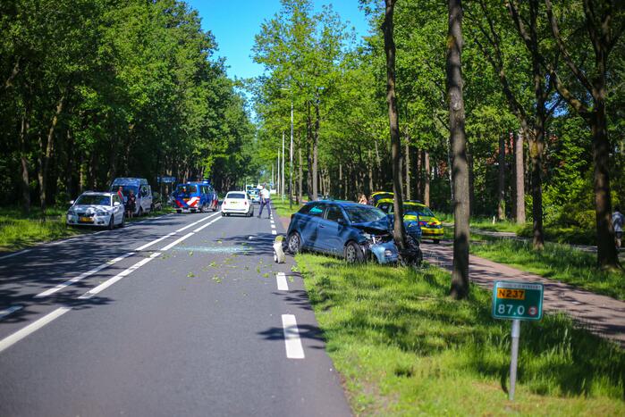 Personenauto belandt op boom