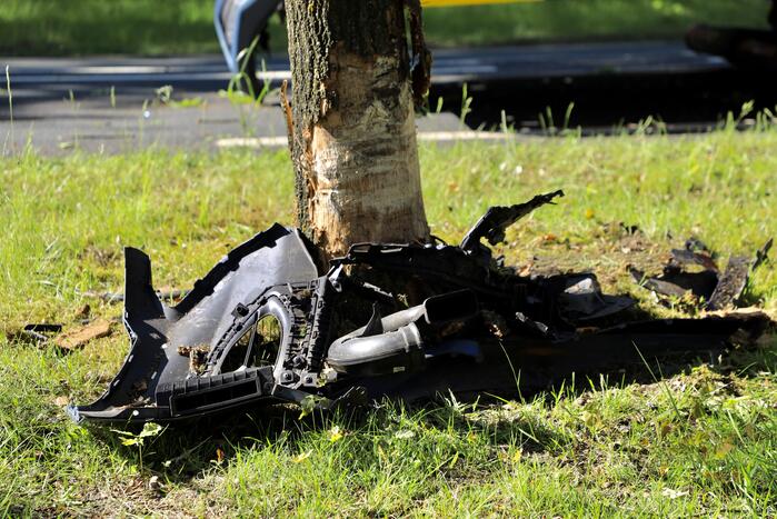 Personenauto belandt op boom