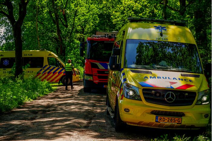 Persoon krijgt trap van veulen en raakt zwaargewond