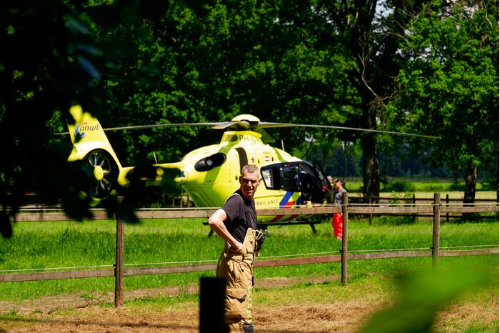 Persoon krijgt trap van veulen en raakt zwaargewond