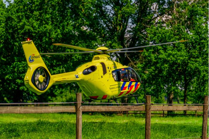 Persoon krijgt trap van veulen en raakt zwaargewond