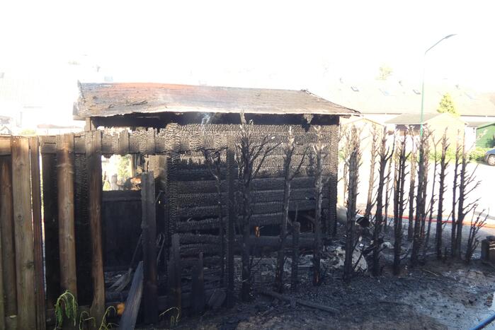 Schuur en conifeer verwoest door brand