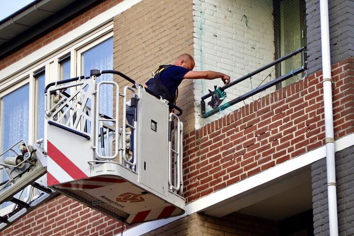 Brandweer haalt duif uit net