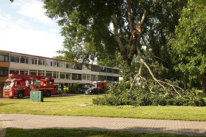 Brandweer zaagt afgebroken tak in stukken
