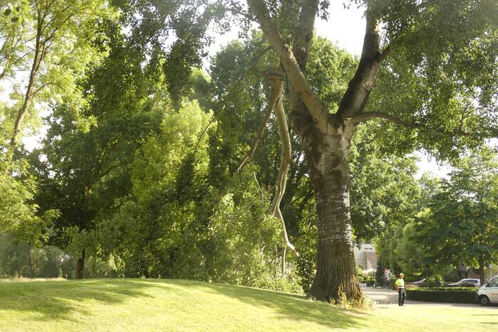 Brandweer zaagt afgebroken tak in stukken