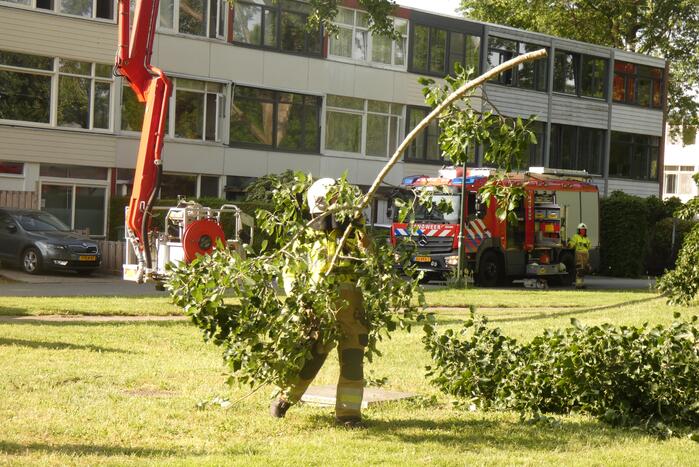 Brandweer zaagt afgebroken tak in stukken