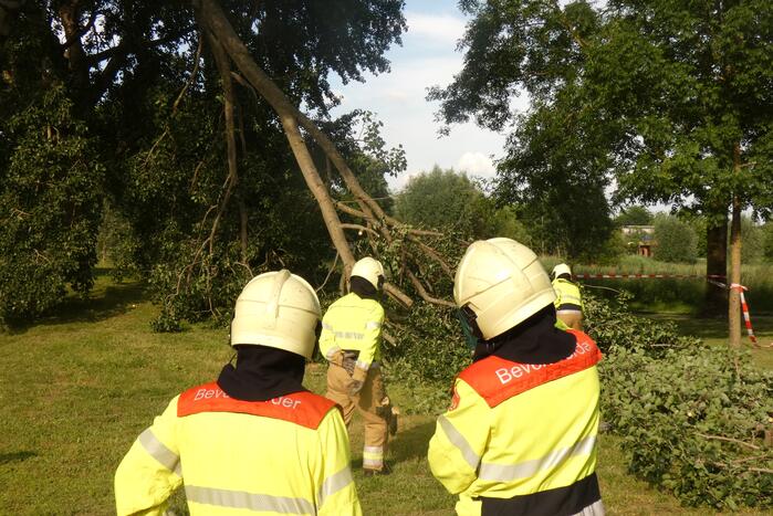 Brandweer zaagt afgebroken tak in stukken