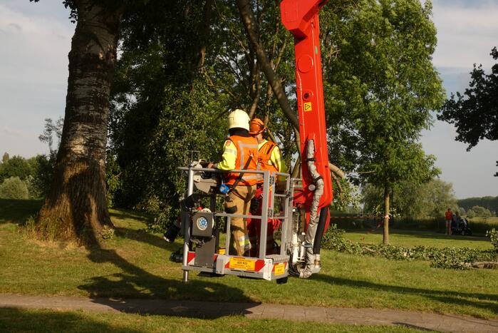 Brandweer zaagt afgebroken tak in stukken