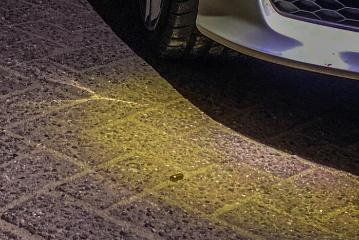 Meerdere kogelhulzen aangetroffen bij schietpartij