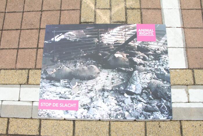 Wake voor omgekomen varkens bij brand