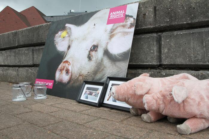 Wake voor omgekomen varkens bij brand
