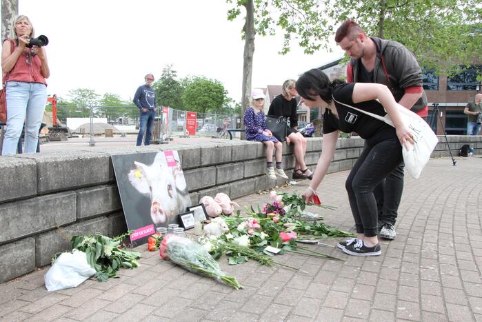 Wake voor omgekomen varkens bij brand