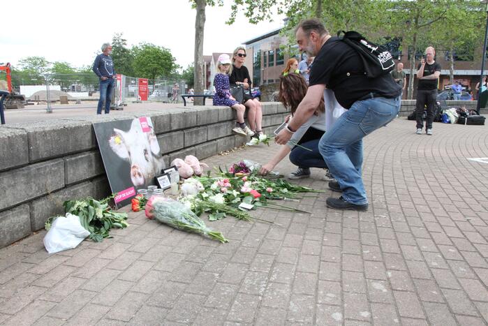 Wake voor omgekomen varkens bij brand