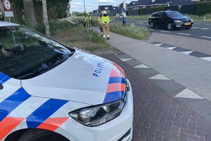Grote tak breek van boom