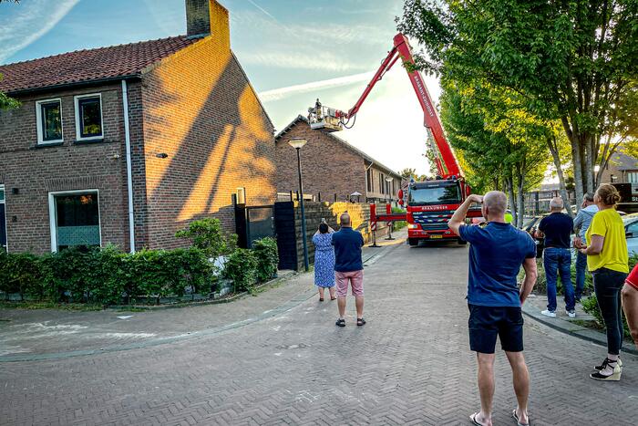 Vastzittende zwaluw gered door brandweer