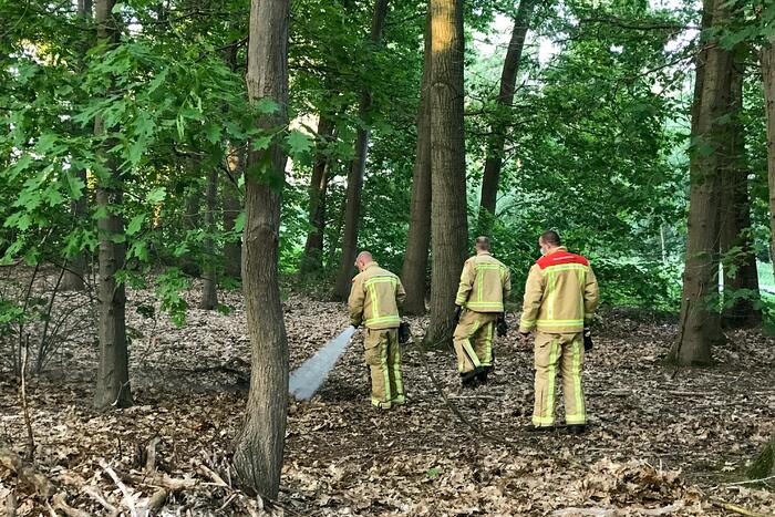 Brandweer blust twee buitenbranden in bos