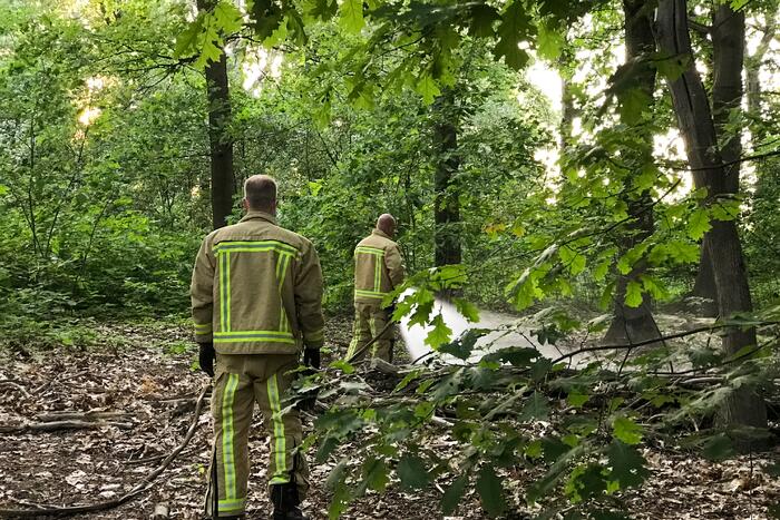 Brandweer blust twee buitenbranden in bos