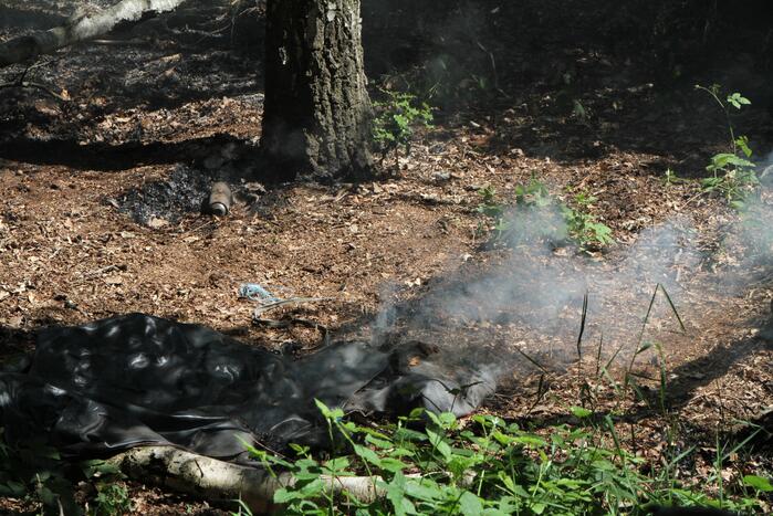 Twee brandhaarden in bosgebied