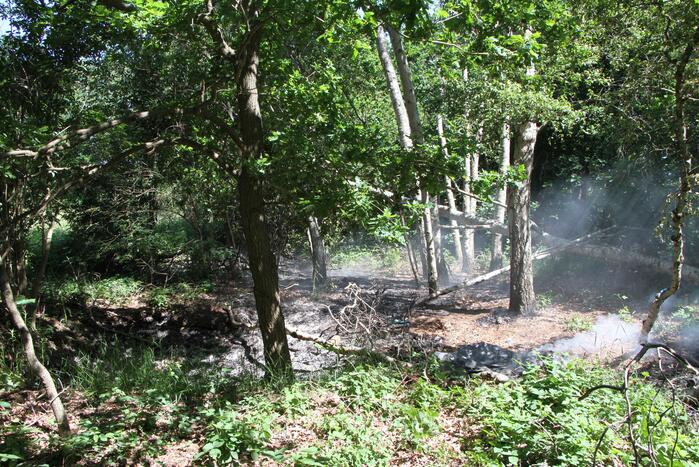 Twee brandhaarden in bosgebied