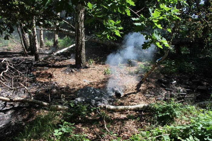 Twee brandhaarden in bosgebied