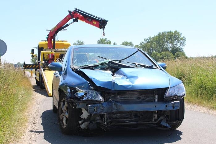 Automobilist botst op schrikhek