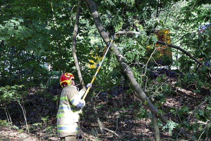 Brandweer verwijdert gevaarlijke hangende tak boven fietspad
