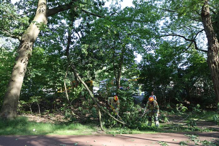 Brandweer verwijdert gevaarlijke hangende tak boven fietspad