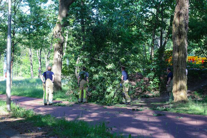 Brandweer verwijdert gevaarlijke hangende tak boven fietspad