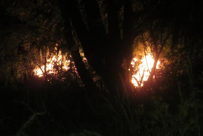 Stuk veld raakt beschadigd bij brand