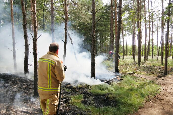 Flinke brand in bosgebeid