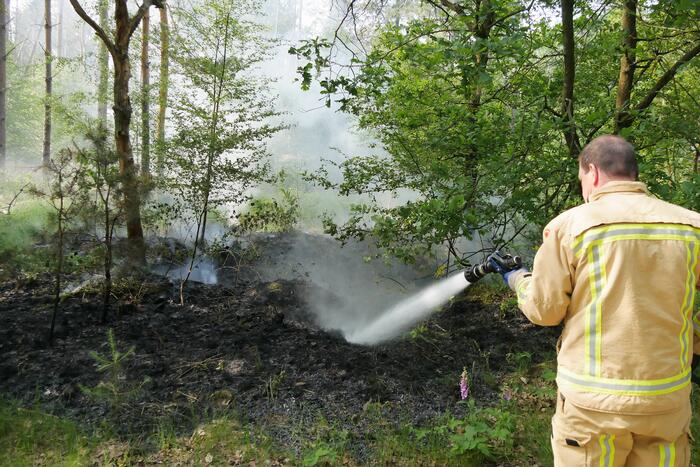 Flinke brand in bosgebeid