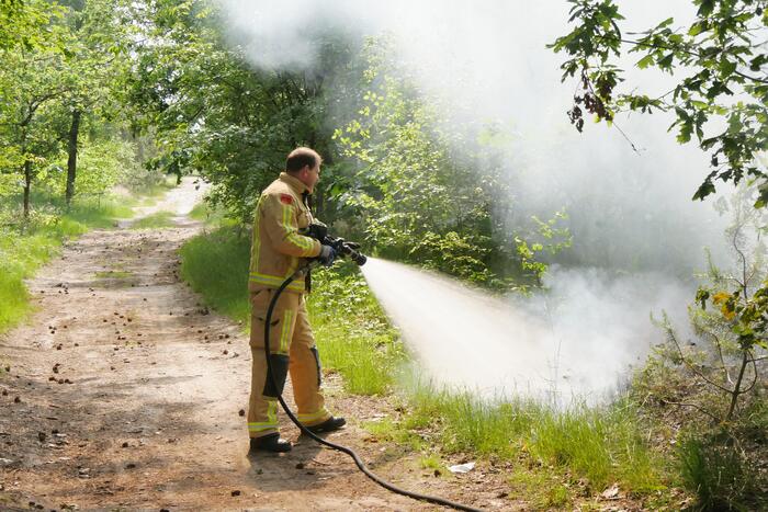Flinke brand in bosgebeid
