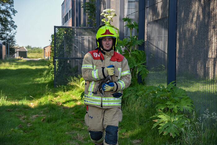 Brandweer bevrijdt eend uit hekwerk Stichting Antes