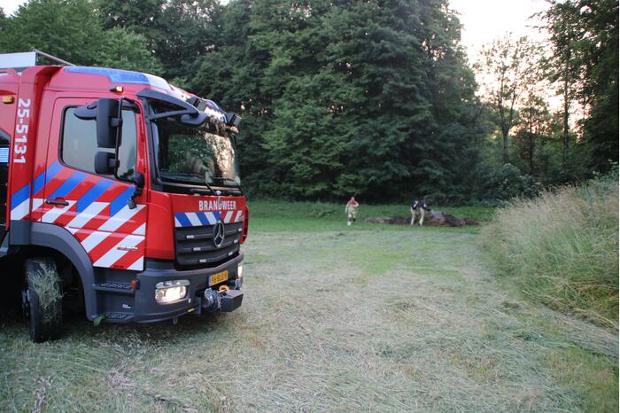 Hooibalen in brand gestoken
