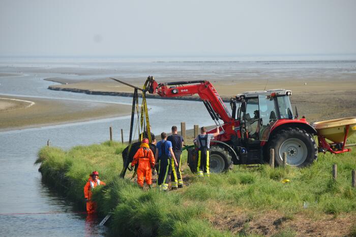 Koe zoekt verkoeling Kouwe Faart