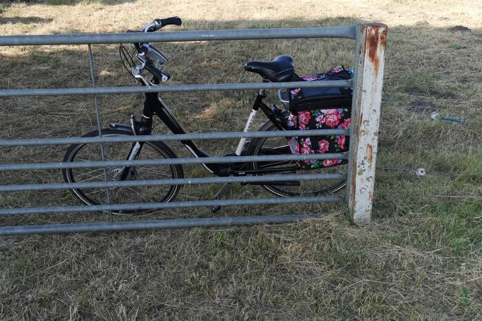 Fietsster schrikt van bestelbus en botst tegen lantarenpaal