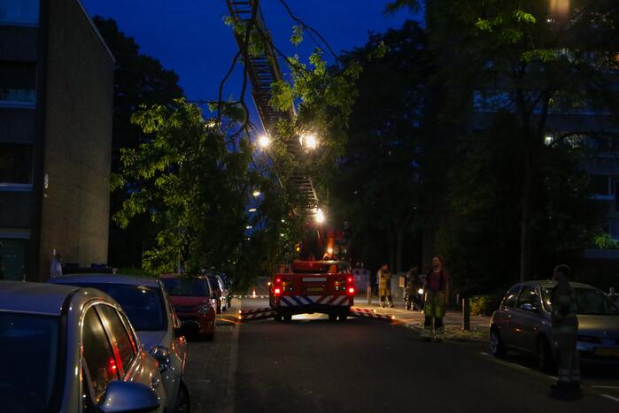 Brandweer verwijdert grote tak van boom