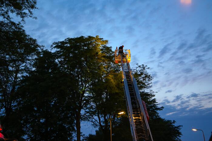 Brandweer verwijdert grote tak van boom