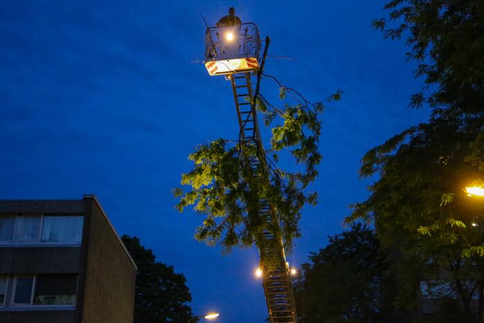 Brandweer verwijdert grote tak van boom