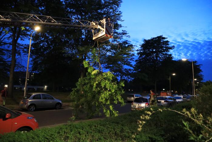 Brandweer verwijdert grote tak van boom