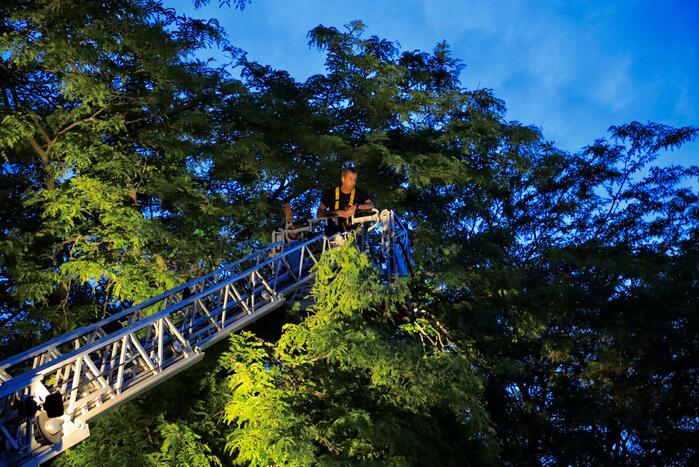 Brandweer verwijdert grote tak van boom