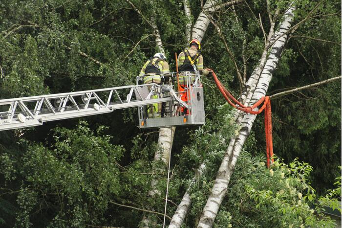 Brandweer verwijdert gevaarlijk staande boom